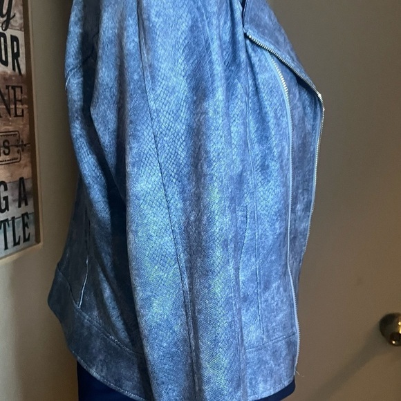 Liquid leather jacket and pant set blue snakeskin by Clara sun woo nwt - Picture 4 of 16
